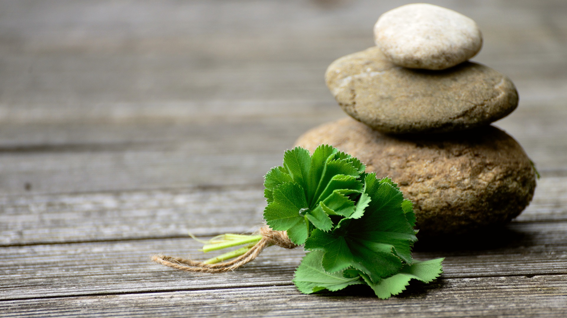 homeopath south wales